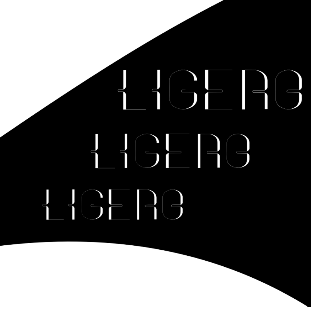 Elaris 3